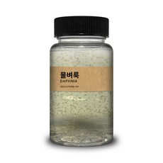 초등학교 실험 관찰생물 물속에서 톡톡 튀는 물벼룩 100ml, 초등학교 실험 관찰생물 물속에서 톡톡 튀는 물벼룩 10