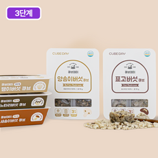 큐브데이 무농약 국내산 버섯큐브세트(3단계) 새송이버섯 느타리 양송이 표고 팽이 다진 야채 채소 토핑 죽, 90g, 5개