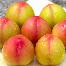 [재구매율1위] 당도max 과즙폭발 올해마지막 추희자두, 1개, 3kg