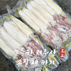 제주한치 당일조업 쫄깃한 생 한치, 1개, 500g(1팩)