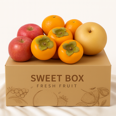 [더달달] 국내산 당일배송 1인가구 원데이 신선과일 A세트, 1세트