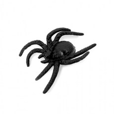 거미 모형 10p, 1개