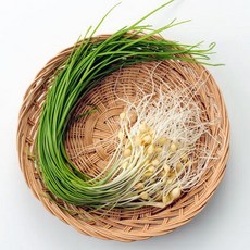 당일수확배송 국내산 햇달래 흙세척 달래, 1개, 100g