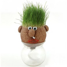 잔디인형세트 잔디머리 얼굴인형 토피어리 got+2148uv