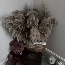 팜파스 마른꽃 대형 부케 인테리어 베이지 거실장식 화병세트, 작은 대나무 1미터에 10지