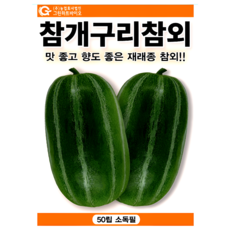 그린하트바이오 참개구리참외 씨앗 재래종 참외 종자 달콤한 텃밭 과일 재배 50립 그린하트, 1개