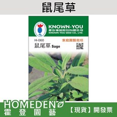 農友種苗 KNOWN-YOU 鼠尾草種子 (Sage), 1包