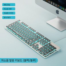 무음 키보드 유선 데스크탑 컴퓨터 노트북 무선 타이핑 마우스 세트 초저소음, 11. 검정 파랑 조명-키보드 2중 키캡