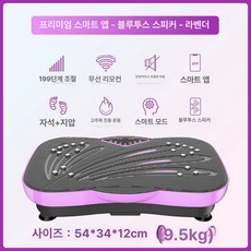 흔들이운동기구 복부 흰색 연소 운동기구 가정용 전신, 플래그십 APP 바이올렛 199단계, 기본 모델명/품번