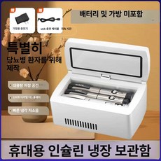 휴대용 인슐린 냉장고 충전식 차량용 소형 약품 냉장보관 주사기 보관함, 베이직 가정용 배터리 없음, 1L