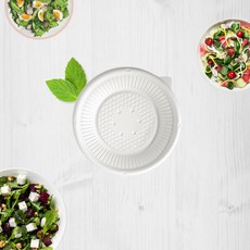 아이존 친환경 이산화규소 혼합 일회용 위생 접시 14cm, 1세트, 10개입