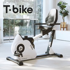 [은성헬스빌] 티바이크 (Tbike) 좌식 싸이클, 상세 설명 참조