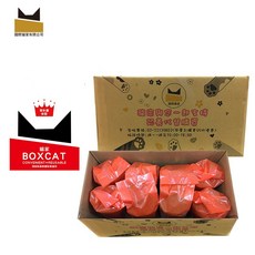 BOX CAT 紅標升級版家庭號20KG，黏著力強，經濟實惠，居家修繕好幫手, 五組(NT1178/組)