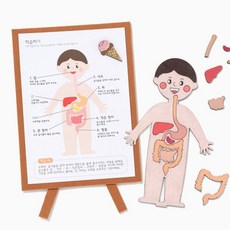 민화샵 교육교구 음식물 소화기관 재미있는 인체지도 만들기 diy 초등과학교구 MDF 재미있는 인체지도, 민화 재미있는 인체지도(소화기관)