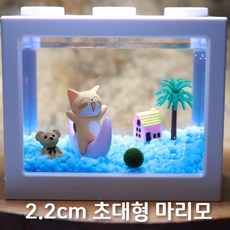 (유성플랜트디자인) 국산 2.2cm 대왕마리모세트 노란고양이, 1개