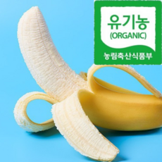 [유기농1호농장] 지리산산청직송 안전한 국산 바나나, 1박스, 1.5kg