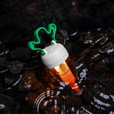 BLACKDOG 캐롯 무드 랜턴 CBD2450ZM014, 1개