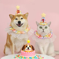 달달멍멍 반려동물 생일파티 모자+스카프+숫자, 1개, 화이트