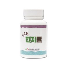 글로벌이지 가루형 한지풀