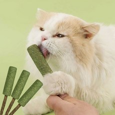 크레용펫 미치냥 캣닢 마따따비 냥빼로, 1개, 1g, 기타