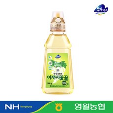 [영월농협 직송] 동강마루 아카시아꿀 튜브, 500g, 1개