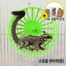 소동물 쳇바퀴 중형 (K-41) 다람쥐바퀴 햄스터쳇바퀴, 1개