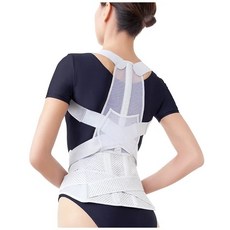 【海夫健康生活館】百力軀幹裝具(未滅菌) ALPHAX 腰背支撐帶 日本製, 1個