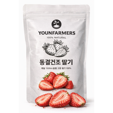 새콤달콜 딸기칩 동결건조딸기 건강간식, 3개, 100g