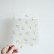 莫莫日貨 Yohaku 原創系列 日本製 A5透明文件夾 L夾 - 銀荊, 1個