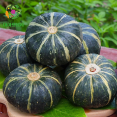 대아프레시 국내산 단호박 1개 2개 3개 4개, 1박스, 단호박 1개(800g내외)