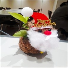 산타할아버지 토피어리재료 미니화분 체험학습 공기정화, 1개