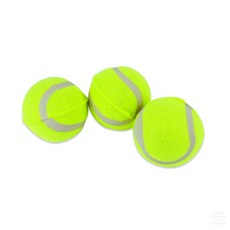 준열 무압구 연습용 테니스공 3개입 훈련용 소프트