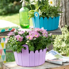 엠사 원형화분커버 소, 하늘