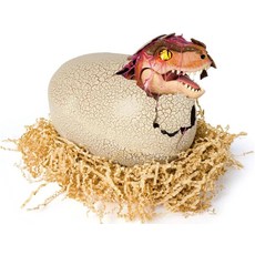 恐龍蛋 T. REX, 1個
