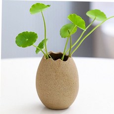 유리꽃병 화병 인테리어 꽃병 세로 7029A 계란 59000EA 1EA, 본상품