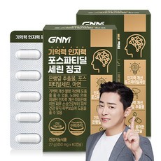 [1박스당 1개월분] GNM 기억력 인지력 포스파티딜세린 징코 / PS 은행잎추출물 두뇌건강, 60정, 2개