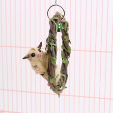 슈가글라이더 스트레소 해소 사과나무 그네 피그미다람쥐 치석제거 장난감, 사과나무그네, 1개, 1_중형(15cm)