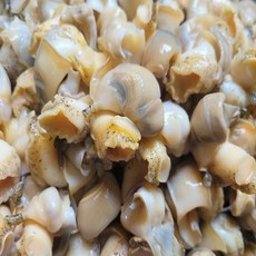 [BJMarket] 동해안 자숙 깐 백골뱅이 250g 깐골뱅이, 깐 자숙 백골뱅이 250g