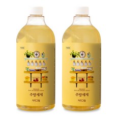 자연그램 젖병 세정제 1종 주방세제 리필, 2개, 1000ml