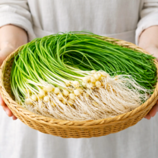 정직하게 길러낸 국내산 세척 달래 산지직배송 신선보장, 1개, 500g