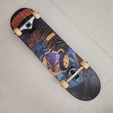 8.07 Element 美國進口全加楓滑板整板 出口橋輪 輪子有一些庫存痕跡, 如圖所示, 1個