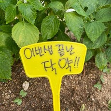 식집사 화단화분식물이름표 27cm 꽃팻말 수목표찰, 없음