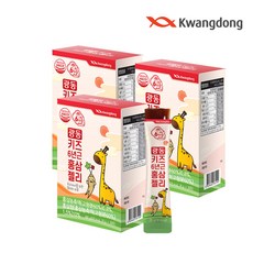 광동 6년근 키즈 홍삼젤리 어린이영양제, 20g, 90개