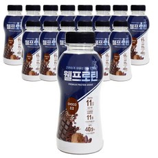 웰프로틴 초코, 40g, 15개