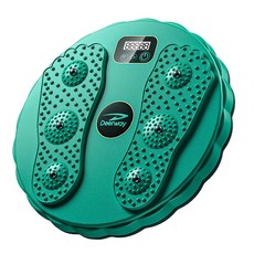 스트레칭보드 트위스트 디스크 운동 바디 쉐이핑 보드 LCD 코어 멧돼지 허리 턴테이블 힙 트레이너 배꼽 장비 green, 01 A