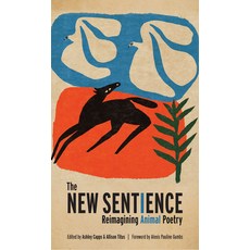 (영문도서)The New Sentience: Reimagining Animal Poetry Paperback, Terra Firma, English, 9781595343031