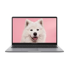 ASUS 노트북 엑스퍼트북 라이젠5 300nits 가성비 사무용 학생용, PM1503CDA-S70068, Free DOS, 16GB, 512GB, 미스티 그레이