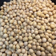 〔心享食誠行〕非基改黃豆 Soybean, 1個