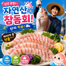 신선 보장! 자연산 참돔회! 산지 직송! 바다가 준 선물^^, 1개, 300g
