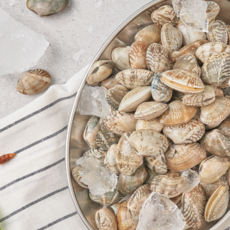 살아있는 바지락 5kg 해감완료 오씨수산 조개찜, 1개